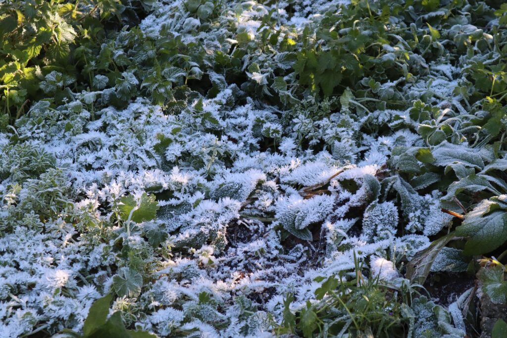 winter weather
